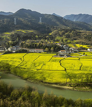 澳门信誉最好的十大平台