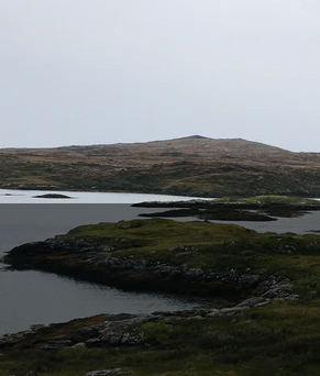 澳门信誉最好的十大平台