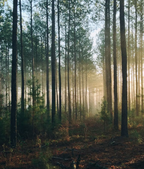 澳门信誉最好的十大平台
